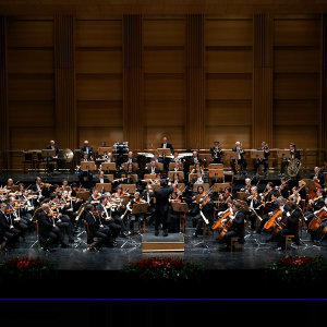 Director de Orquesta Miguel Ángel Gómez-Martínez
